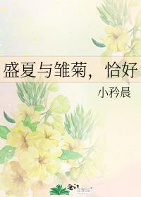 盛夏与雏菊，恰好