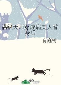 男频主角怀了女皇的崽（女尊）