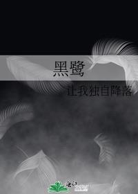 黑鹭