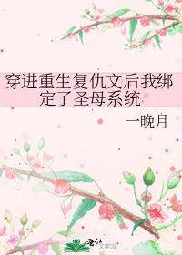 穿进重生复仇文后我绑定了圣母系统