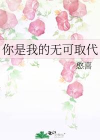 你是我的无可取代