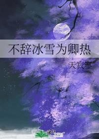 权力巅峰之完美官途