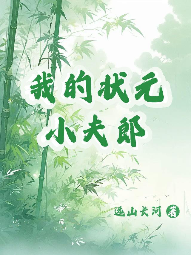 我的状元小夫郎