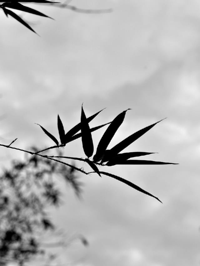 空竹传响
