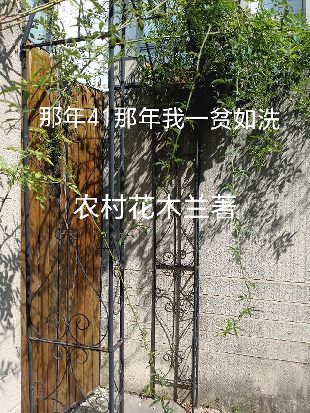 那年41那年我一贫如洗