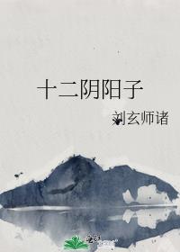 十二阴阳子