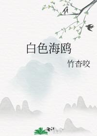 白色海鸥