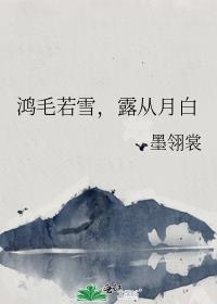 鸿毛若雪，露从月白