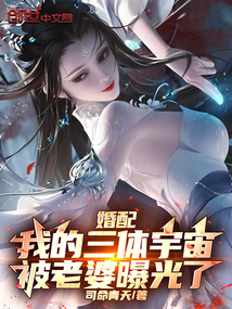 婚配：我的三体宇宙被老婆曝光了