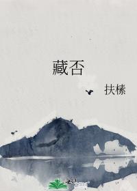 藏否